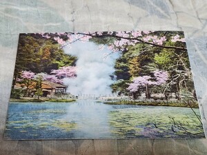 1638　絵葉書　観光別府温泉　天然の絶景　海地獄