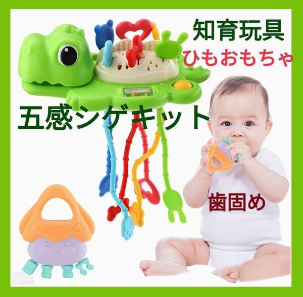 大特価最終価格!!知育玩具 五感シゲキット ガラガラ ひもおもちゃ 歯固め 指先トレーニング 恐竜のおもちゃ 持ち運び便利