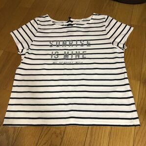 COLZA Tシャツ ボーダー