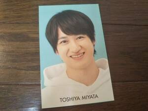 ［同梱可］★Kis-My-Ft2☆宮田俊哉★Myojyo_All Star_Data Card☆サイズ：縦9.8㎝×横6.4㎝★オールスターデータカード（1枚）