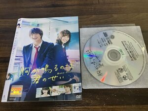 胸が鳴るのは君のせい　DVD　浮所飛貴　白石聖　即決　送料200円　830