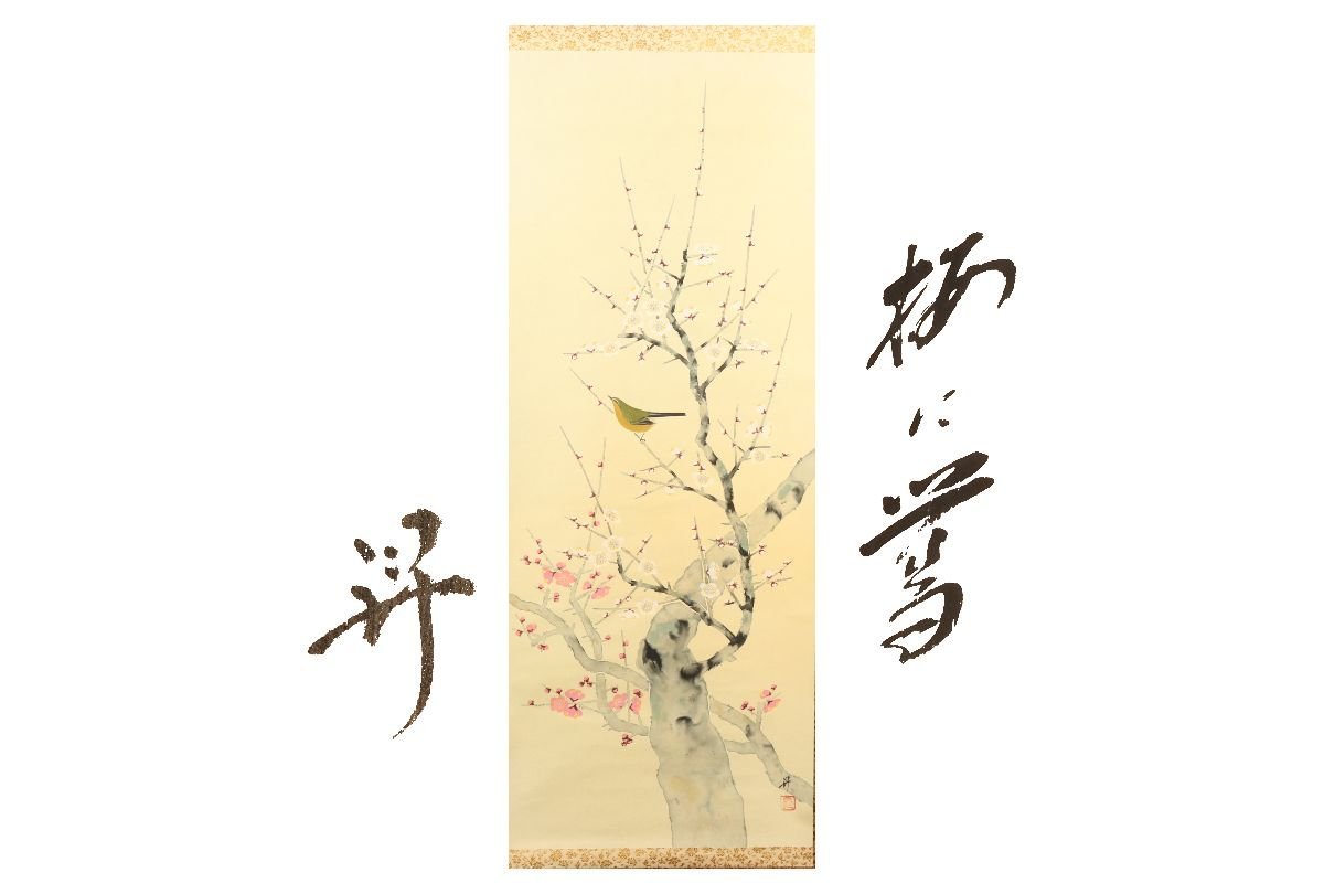 [Galla Fuji] Guaranteed authentic/Noboru/Plum and Nightingale/Comes with box/C-438 (Search) Antiques/Hanging scroll/Painting/Japanese painting/Ukiyo-e/Calligraphy/Tea hanging/Antiques/Ink painting, Artwork, book, hanging scroll