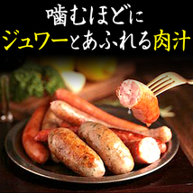 リングイッサ スプレーマ シュハスコ 750g （冷蔵） LINGUICA SUPREMA ESPECIAL CHURRASCO_画像3