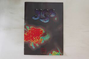  импорт Memorabilia Tour Book Yes World Tour 1991 YES1991 NOT ON LABEL /00200