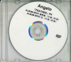 DVD Angelo Feather(Pv) NONE NONE プロモ /00110