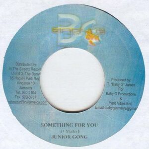 ジャマイカ7 Jr. Gong Something For You / Gang War NONE Baby G Productions /00080