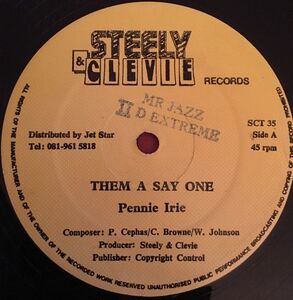 英12 Penny Irie Them A Say One SCT35 Steely & Clevie Records /00250