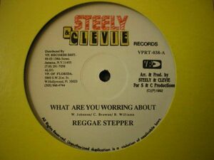 米12 Reggie Stepper What Are You Worring About VPRT038 Steely & Clevie Records /00250