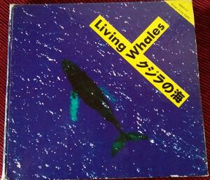 CD イメージ・アルバム クジラの海‐Living Wh WMC38 WEA /00110