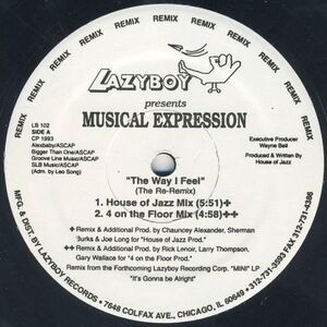 米12 Musical Expression The Way I Feel (The Re-Remix) LB102 Lazyboy Records /00250