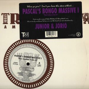 米12 Pascal's Bongo Massive Pere Cochon (I Like It) Y58027 TRIBAL America /00250