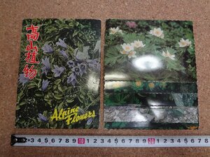 b□　高山植物　絵葉書　8枚セット　アルペンフラワー　/c5