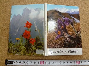 b□　洋書　Die Alpen Bluhen　(ドイツ語表記)　アルプスに咲く花　高山植物　オーストリア　/b13