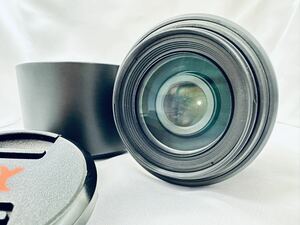 【極上美品】ソニー SONY DT 55-200mm F4-5.6 SAM SAL55200 #L-0091