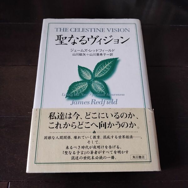 聖なるヴィジョン ジェームズ・レッドフィールド／著　山川紘矢／訳　山川亜希子／訳