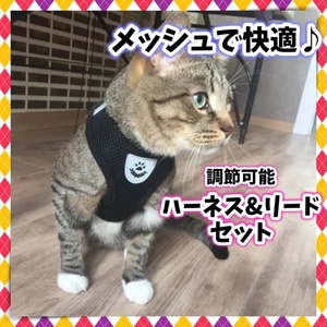 残り僅か 猫用 ハーネス リード セット お散歩セット お出かけセット Sサイズ 胴輪 ブラック 黒 マジックテープ 調整可能 ニャンコ ワン