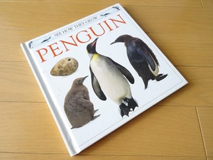 иностранная книга * пингвин фотоальбом книга