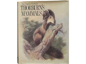 洋書◆哺乳類 動物の画集 作品写真集 本