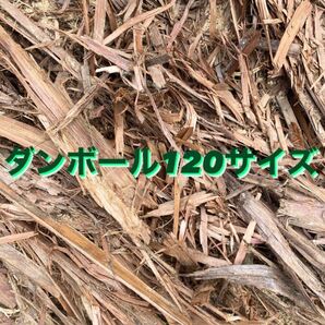 ヒノキ 桧 消臭 燻製 ガーデニング キャンプ 薪 檜 着火材 端材 アウトドア バーク 皮