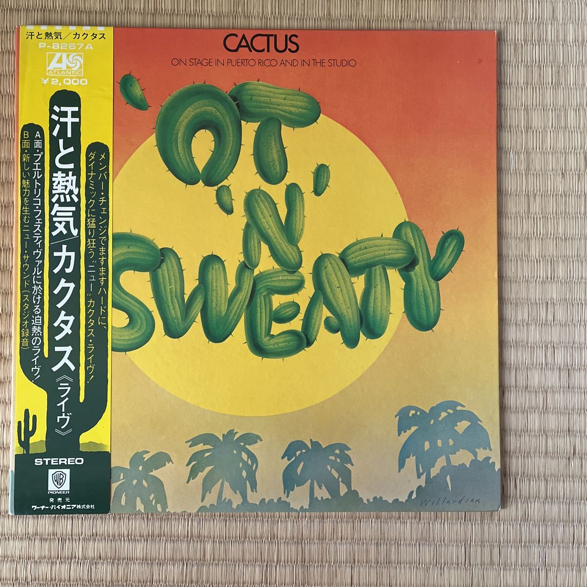 ヤフオク! -「cactusカクタス」(レコード) の落札相場・落札価格