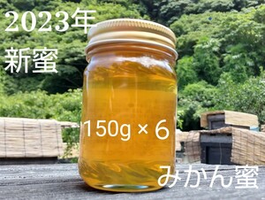 【非加熱、純粋はちみつ】スッキリとした甘さとほのかな酸味が人気な希少蜂蜜「みかん蜜」150g×6本 900g 国産蜂蜜 完熟 天然