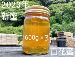 【非加熱・純粋はちみつ】山の花々からとれた濃厚な甘さの百花蜜600g×3本 1800g 生はちみつ 国産蜂蜜 天然 完熟