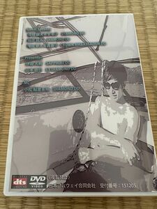 DIA達成ラリー yutaro sugiyama DVD