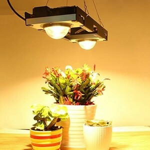 ■送料無料■CREE CXB3590LED植物成長ライトフルスペクトル200WLED植物成長ライト3500Kは、苗木、多肉植物、