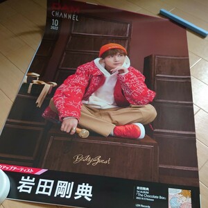 岩田剛典 ポスター 三代目 J Soul Brothers JSB3 非売品 B2 サイズ 岩ちゃん 