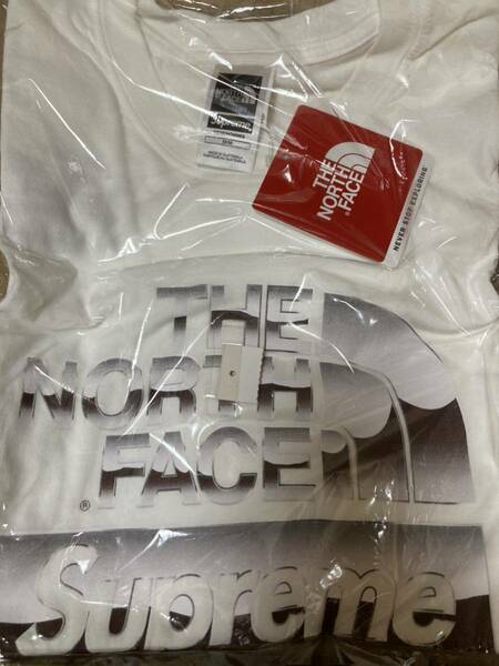 新品M Supreme The North Face Metallic Tee