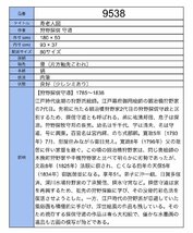 【模写】吉】9538 狩野探信 守道 寿老人図 鍛冶橋狩野7代 狩野派 江戸時代後期 中国画 掛軸 掛け軸 骨董品_画像9