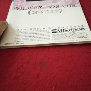 f-519 ビデオマガジン・アビック 8月号 スティーブン・キング アーノルド・シュワルツェネッガー 昭和62年発行 リットーミュージック※10の画像3