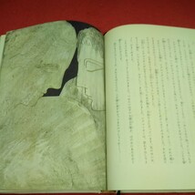 e-237 カラー版 ギリシア神話 山室静 旺文社ジュニア図書館 神神と世界のはじまり オリンポスの十人の神 ※10_画像5