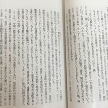 c-602 ※10/グラフィティ・歴史謎事典8/シルクロードの謎/1989年2月20日初版第1刷発行/発行者 大坪 昌夫/著者 町田 隆吉/_画像7