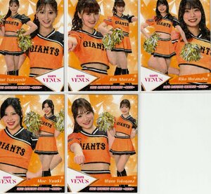 【華77 横山みゆう VENUS】レギュラー ホロPPパラレル(画像の中の１枚) BBM チアリーダー 2023 華