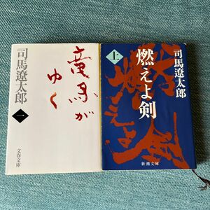 竜馬がゆく1 燃えよ剣 上 セット