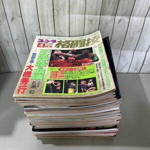 格闘技 関係 本 セット●週刊 プロレス/ゴング 格闘技/格闘技通信/フルコンタクト KARATE/ターザン/筋肉/体幹コアトレ/まとめて★A2617-12