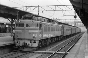 [鉄道写真] EF81+旧型客車・北陸本線 富山駅 (2689)
