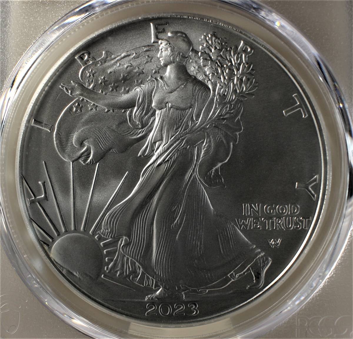 イーグル銀貨 2021年 PCGS MS70 friststrike+worldfitnessacademy.com