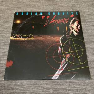 【国内盤】ADRIAN GURVITZ IL ASSASSINO エイドリアンガーヴィッツ/ LP レコード / 25AP1867 / ライナー有 / 洋楽ロック