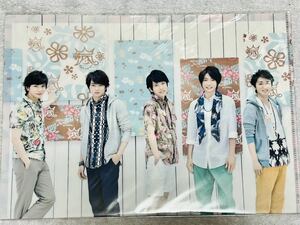 嵐 ARASHI BLAST in Hawaii LIVE TOUR 2014年 ハワイ限定公演 公式グッズ 集合クリアファイルA 新品 相葉雅紀松本潤二宮和也大野智櫻井翔