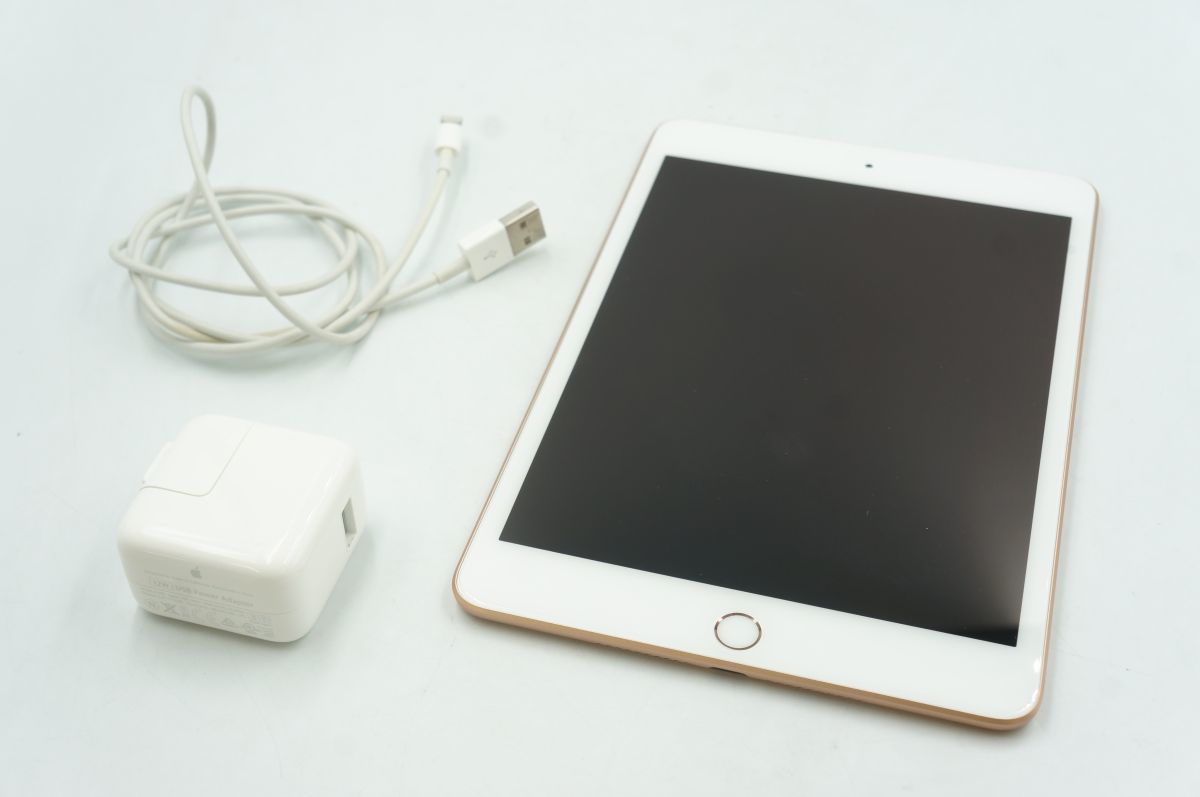 全額返金保証!最速発送!【iPad mini 第5世代MUU62J/A 256GB Wi-Fi