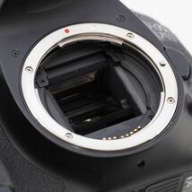 Canon キヤノン デジタル一眼レフカメラ EOS 7D ボディ EOS7D #7598_画像10