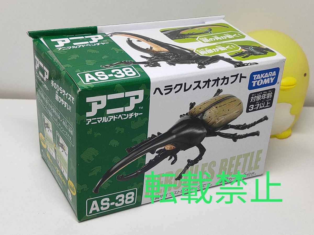 安いギラファノコギリクワガタ ヘラクレスオオカブトの通販商品 安いギラファノコギリクワガタ ヘラクレスオオカブトの通販商品