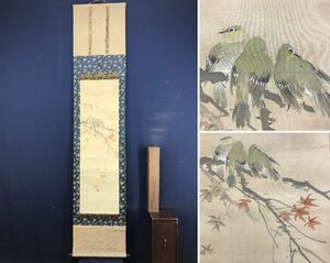 Art hand Auction Copy/마츠무라 게이분/단풍잎과 작은 새/작은 새/꽃과 새//족자☆보물선☆AD-256, 그림, 일본화, 꽃과 새, 야생 동물