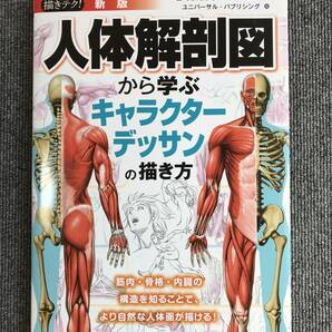 404　新版 人体解剖図から学ぶキャラクターデッサンの描き方