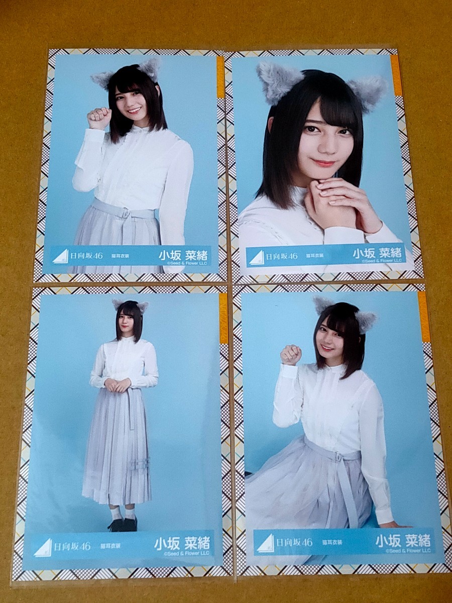 人気の贈り物が 日向坂46 けやき坂46 小坂菜緒 コンプまとめ売り