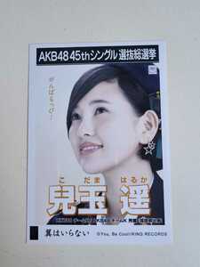 HKT48 兒玉遥 AKB48 45thシングル選抜総選挙 生写真