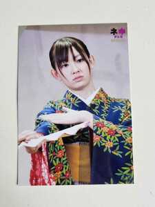 AKB48 小嶋陽菜 ネ申テレビ SPECIAL DVD特典 生写真