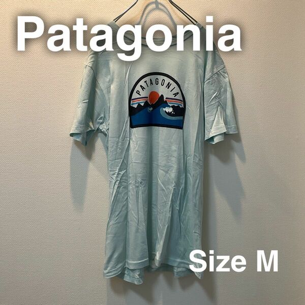 Patagonia パタゴニア M Tシャツ　ライトブルー　水色　アウトドア　キャンプ　フェス　アメリカ製　MADE IN USA